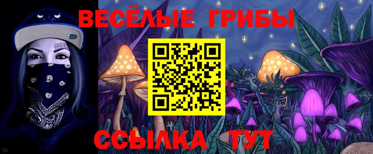 Псилоцибиновые грибы Magic Shrooms  Галлюциногенные грибы прущие грибы  Вход с VPN  Донецк 
